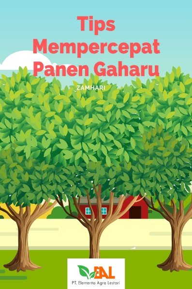 Tips Mempercepat Panen Gaharu